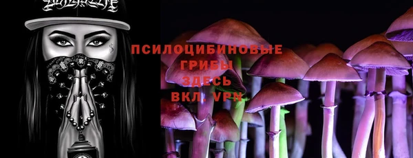 гашик Вяземский