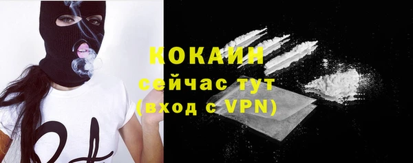 крисы Вязьма