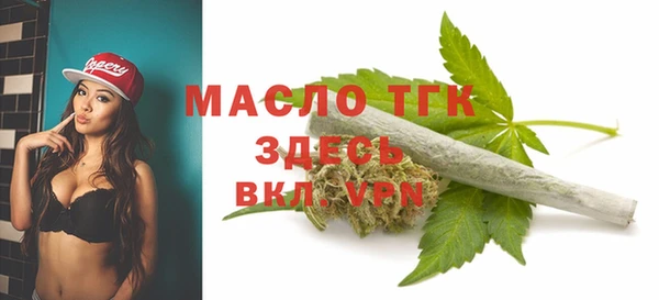 крисы Вязьма