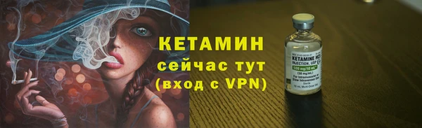 гашик Вяземский