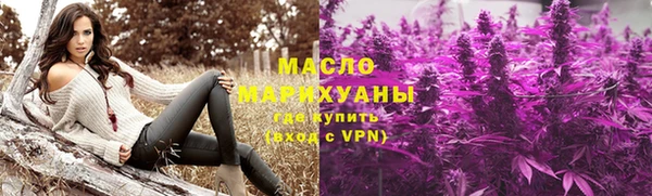гашик Вяземский