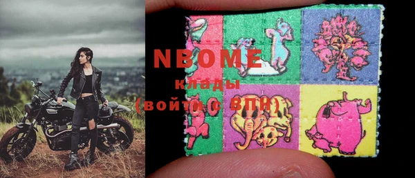 гашик Вяземский