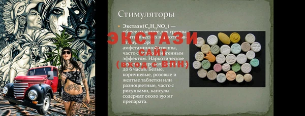 гашик Вяземский