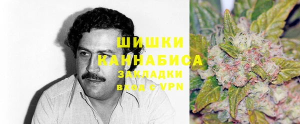 Альфа ПВП Горно-Алтайск