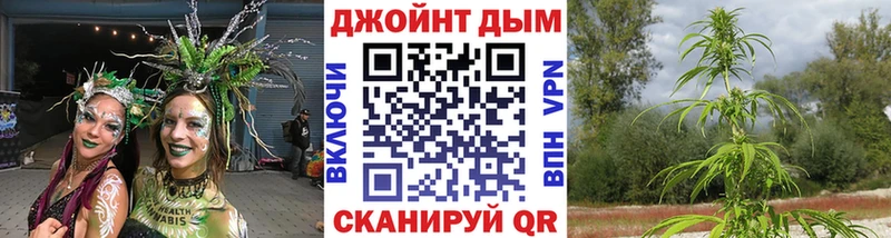 Бошки Шишки SATIVA & INDICA закладка Приволжск